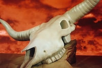 Travis Scott AnOther cover story Dior collection show collab