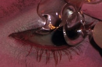 COMME DES GARÇONS Harley Weir Robbie Spencer